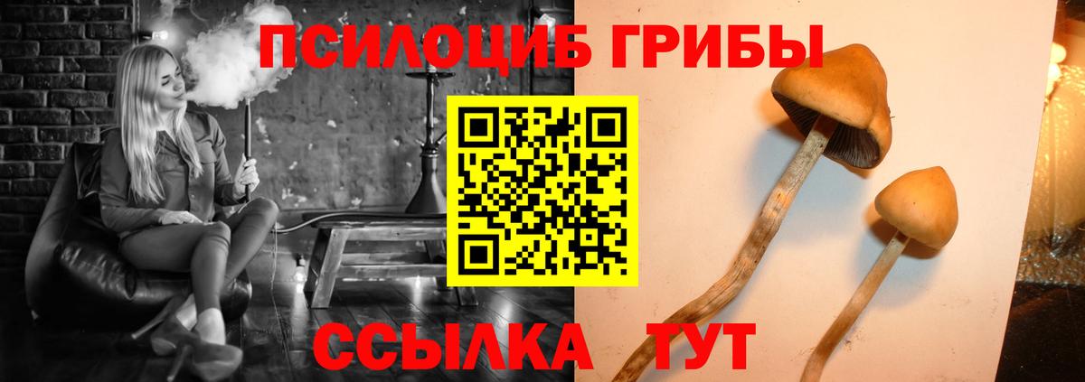 Дубна  Псилоцибиновые грибы Psilocybine cubensis  Псилоцибиновые грибы MAGIC MUSHROOMS  Вход с VPN 